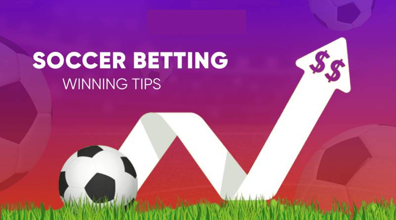 Tips Bóng Đá Là Gì? Các Loại Tips Bóng Đá Và Cách Sử Dụng 1 Tips Bong Da La Gi Cac Loai Tips Bong Da Va Cach Su Dung